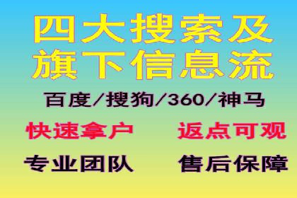 SEM公司案例分析：搜索引擎优化策略与执行